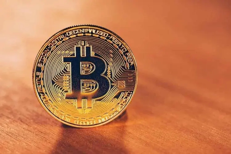 bsd交易所是什么