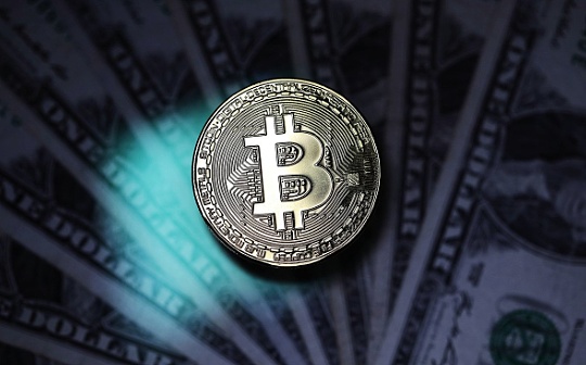 文交所是啥意思