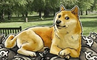 狗狗币安卓版下载 狗狗币手机端最新版官方