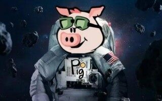 pig下载版本官方正版 pig2022新版下载