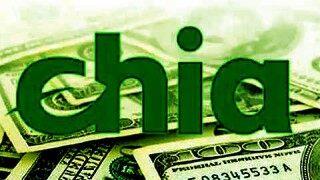 奇亚币交易所app下载链接 奇亚币交易所平台下载最新版