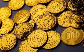 bee蜜蜂币是真的吗？蜜蜂币钱包如何？