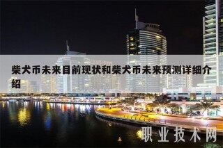 柴犬币未来目前现状和柴犬币未来预测详细介绍