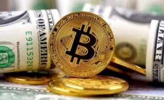 虚拟货币知识入门(虚拟货币知识百科大全)