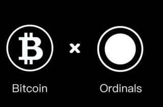 为什么批判铭文只会削弱你和比特币的价值?