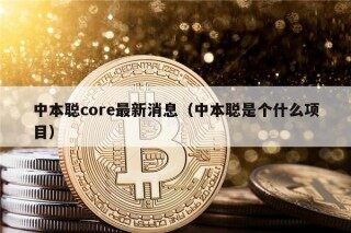 中本聪core最新消息（中本聪是个什么项目）