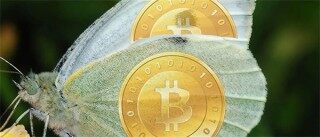 泰达币是什么时候发行的