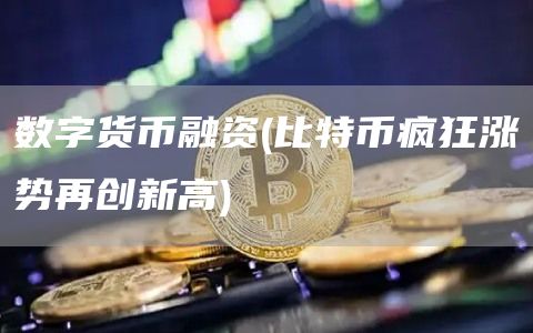 数字货币融资 - 比特币疯狂涨势再创新高