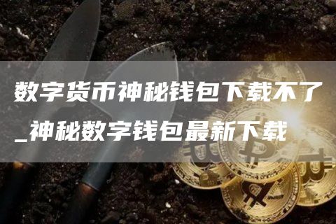 数字货币神秘钱包下载不了_神秘数字钱包最新下载
