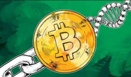 虚拟币交易app｜全球前十名虚拟货币交易所名单