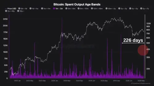 市场不安:短期比特币持有者在价格暴跌中转移超过 100,000 BTC